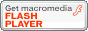 Flash�ץ졼�䡼�����������